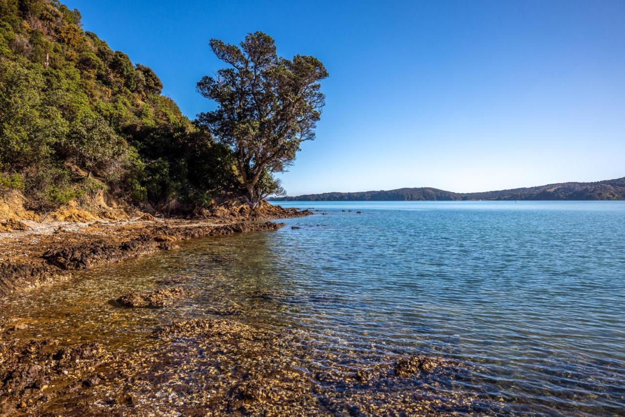 Palms On Kennedy Point - Stay Waiheke Te Whau Bay Exterior photo